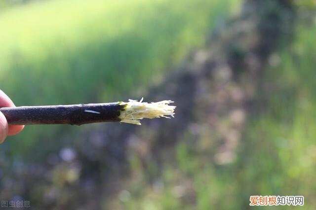 古人读的书多的时候需要用车来拉,与之相关的成语是，10个古代生活冷知识，外出看书竟然用车拉