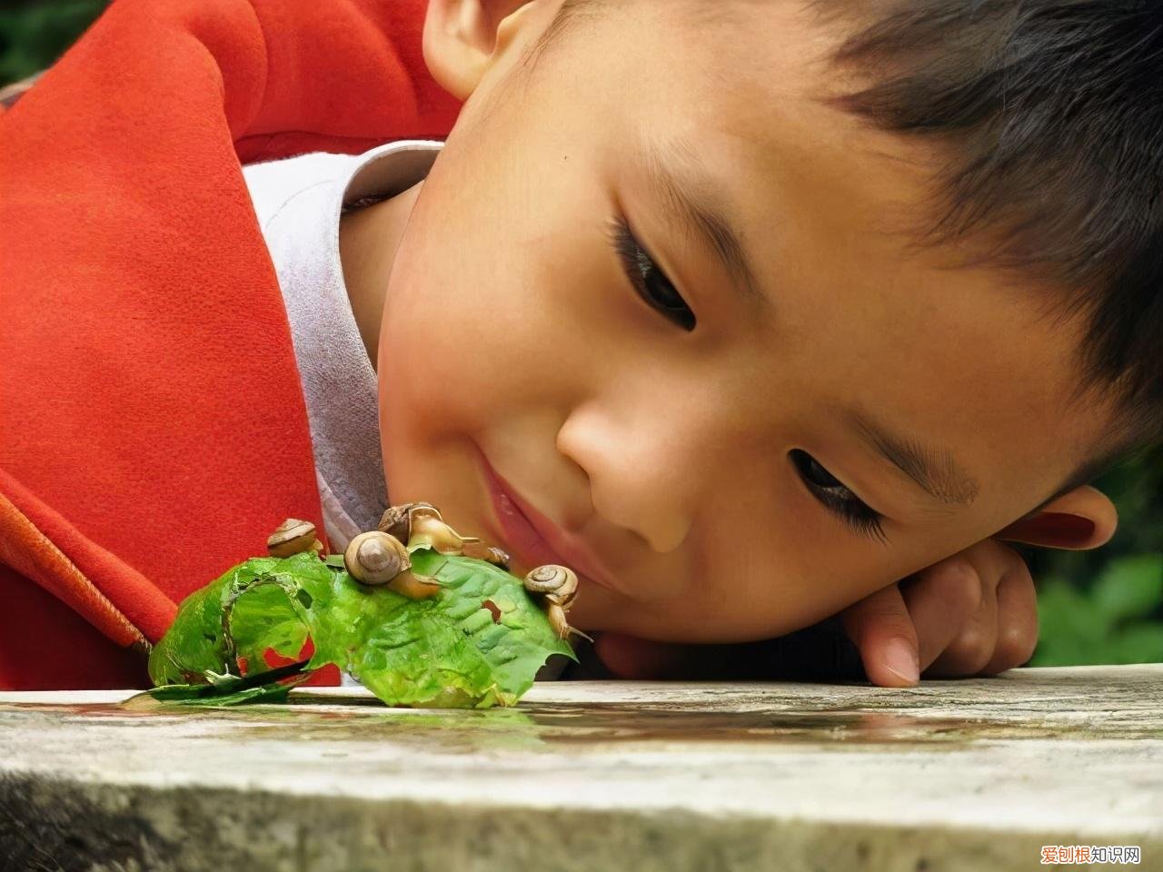怎样让小孩专注力提高，怎么提升孩子专注力？2个方法，每天10分钟，拉开和同龄人差距