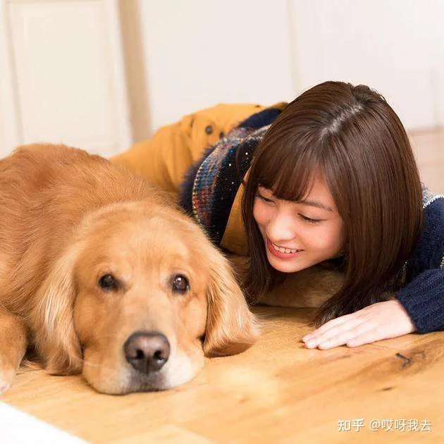 养狗的小知识，这些“知识”，养狗的你早就该知道了！