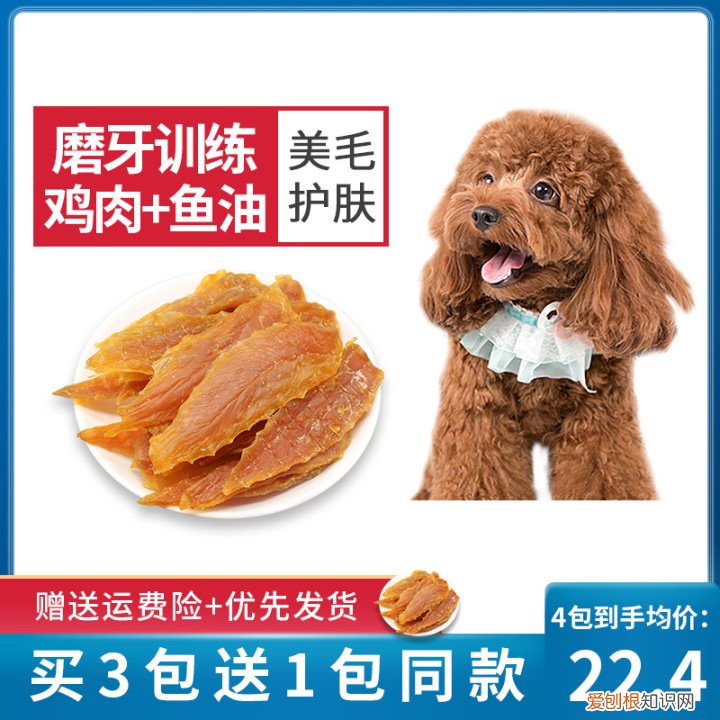 养狗的小知识，这些“知识”，养狗的你早就该知道了！