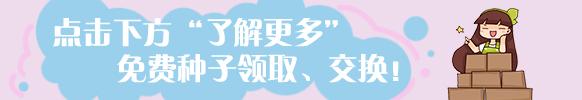 吊兰枯死了还能活吗图片，吊兰半死不活不要紧，学会这5招，吊兰疯长成瀑布，小吊抽不停！