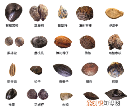 面面的古代战争，古人生活面面观，比你想得更文明，更高级