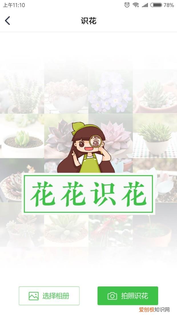 适合家里好养的花，养花app推荐？
