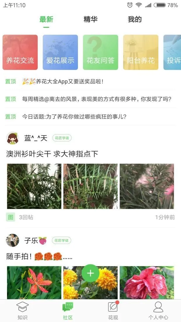 适合家里好养的花，养花app推荐？