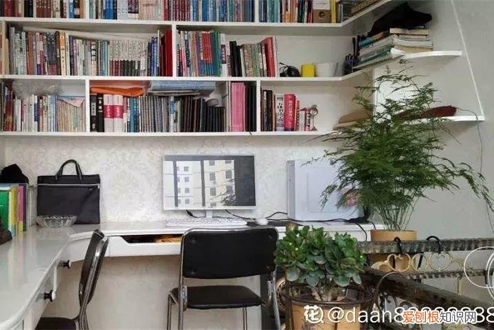 养花也是一门学问，在家养花学问大，不同房间养不同的花，养错了就是白费功夫