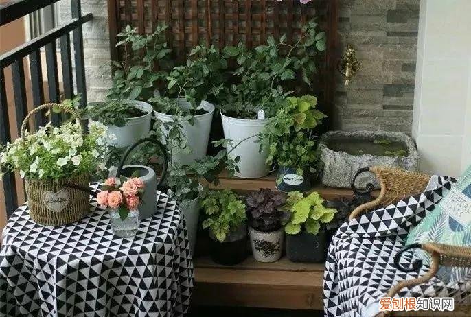 养花也是一门学问，在家养花学问大，不同房间养不同的花，养错了就是白费功夫