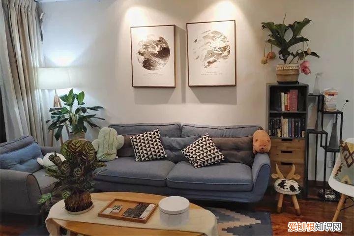养花也是一门学问，在家养花学问大，不同房间养不同的花，养错了就是白费功夫