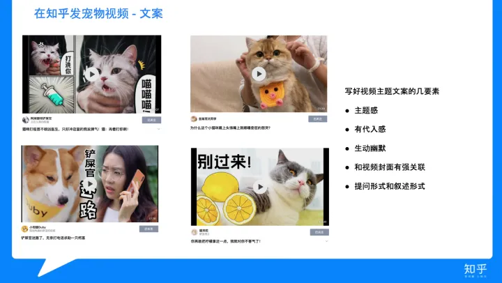 怎样混剪视频不算侵权，简单明了的宠物视频手册来了~