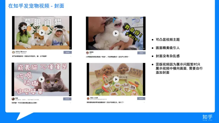 怎样混剪视频不算侵权，简单明了的宠物视频手册来了~
