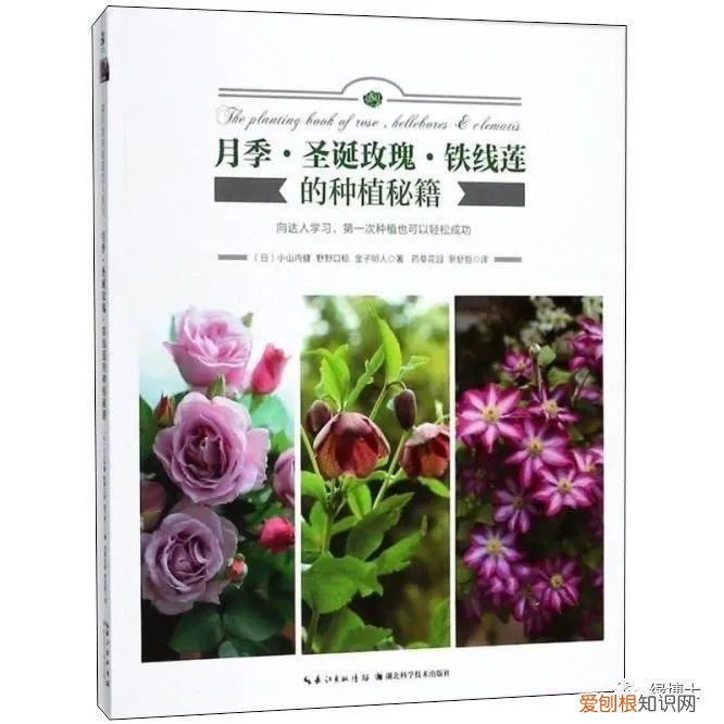 关于园艺的书，开学季~5本园艺好书推荐