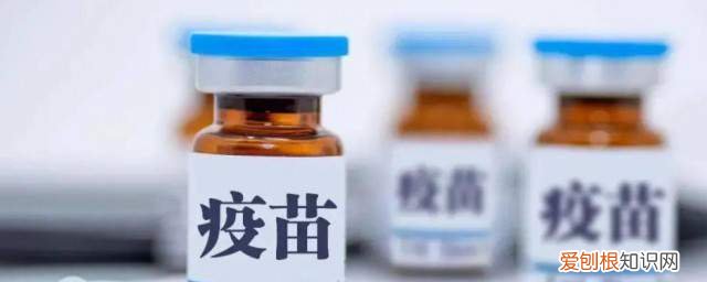 打了新冠疫苗三天能不能洗澡 新冠疫苗三天不能洗澡吗《新冠疫苗可以洗澡吗》