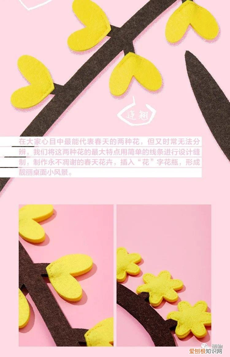 关于花草的书籍推荐,你身边的花草到底有多少秘密?这本书全部告诉你