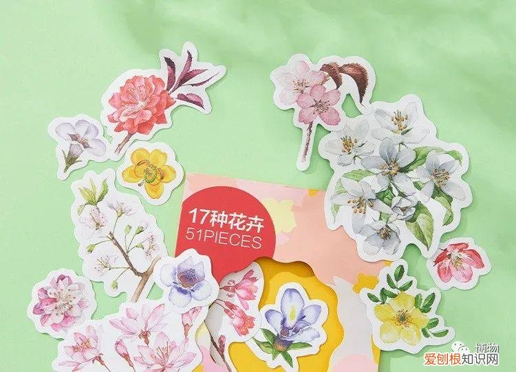关于花草的书籍推荐,你身边的花草到底有多少秘密?这本书全部告诉你