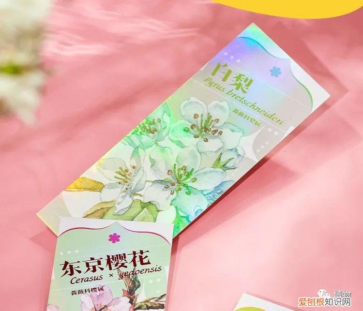 关于花草的书籍推荐,你身边的花草到底有多少秘密?这本书全部告诉你