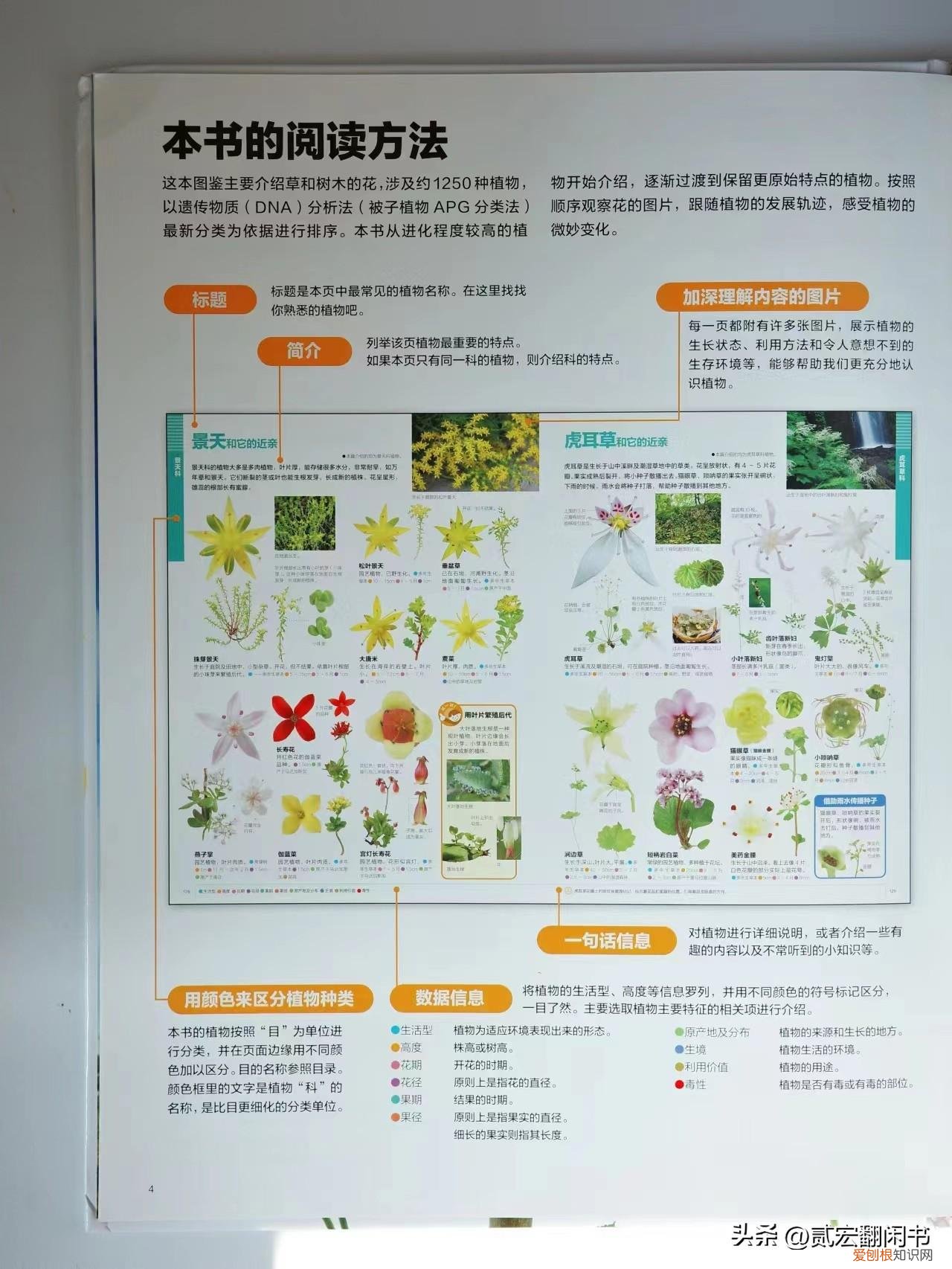 走进花的世界,花的海洋,花的生活，用一朵花开的时间，读本《花的世界》，领略1250种花的姿态