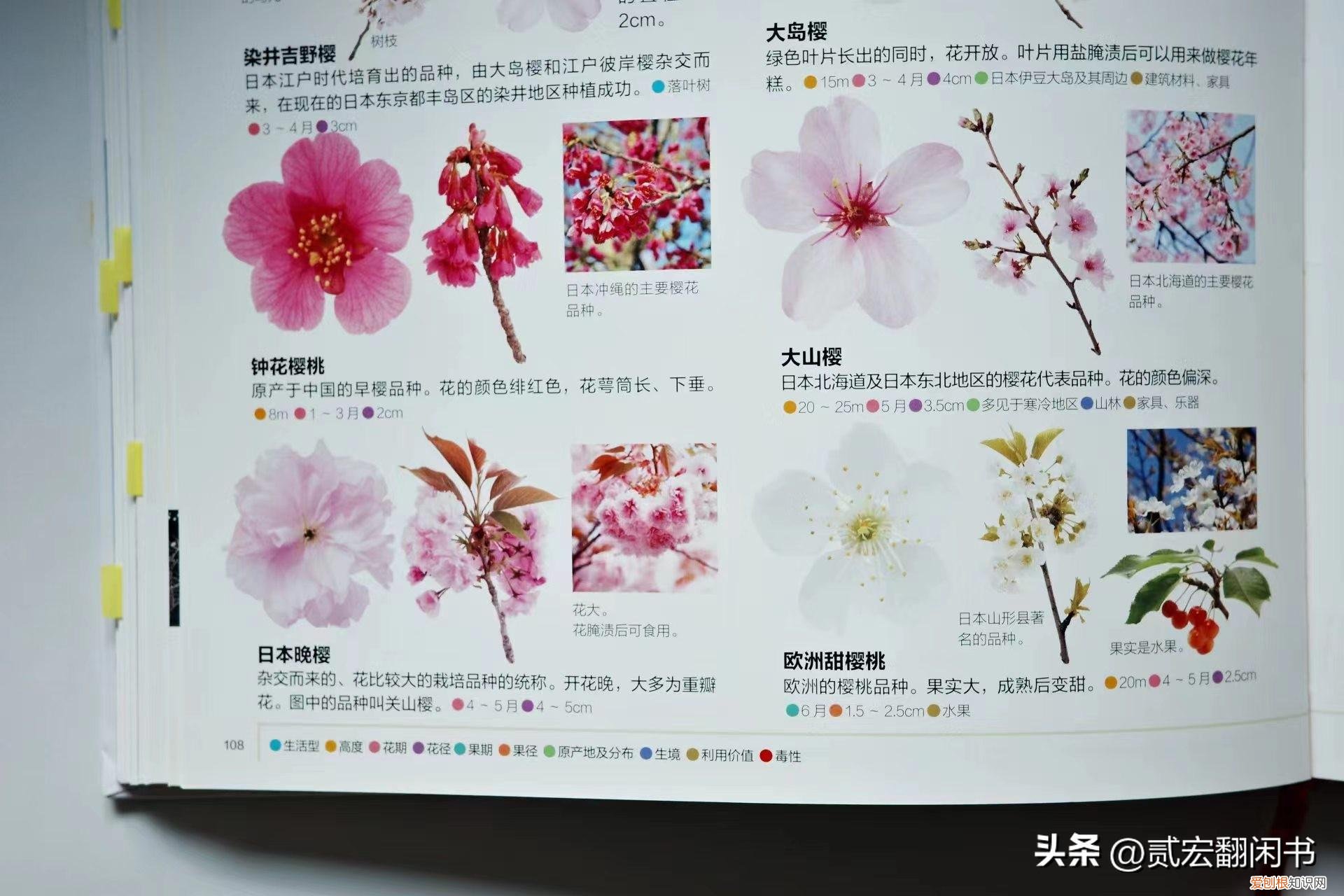 走进花的世界,花的海洋,花的生活，用一朵花开的时间，读本《花的世界》，领略1250种花的姿态