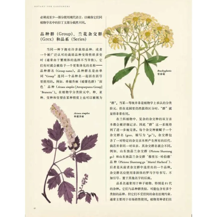 园艺入门书籍推荐，养花新手，求推荐从种子到长大的相关书籍？