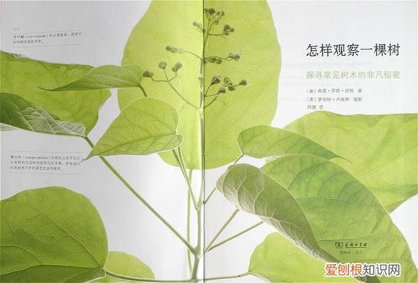 园艺入门书籍推荐，养花新手，求推荐从种子到长大的相关书籍？