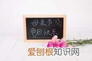 赞美妈妈的文案