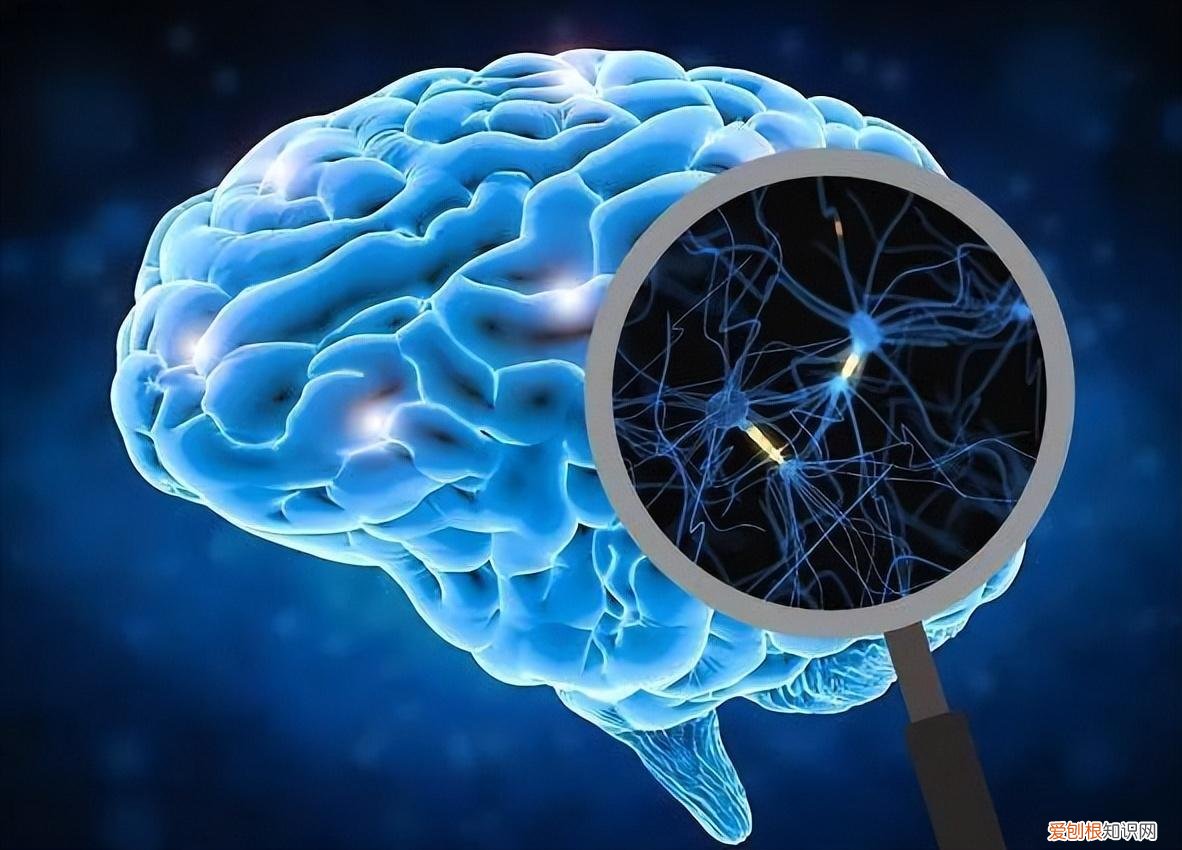 加强孩子专注力的方法有哪些图片，孩子不专注？用对方法，才能提升专注力