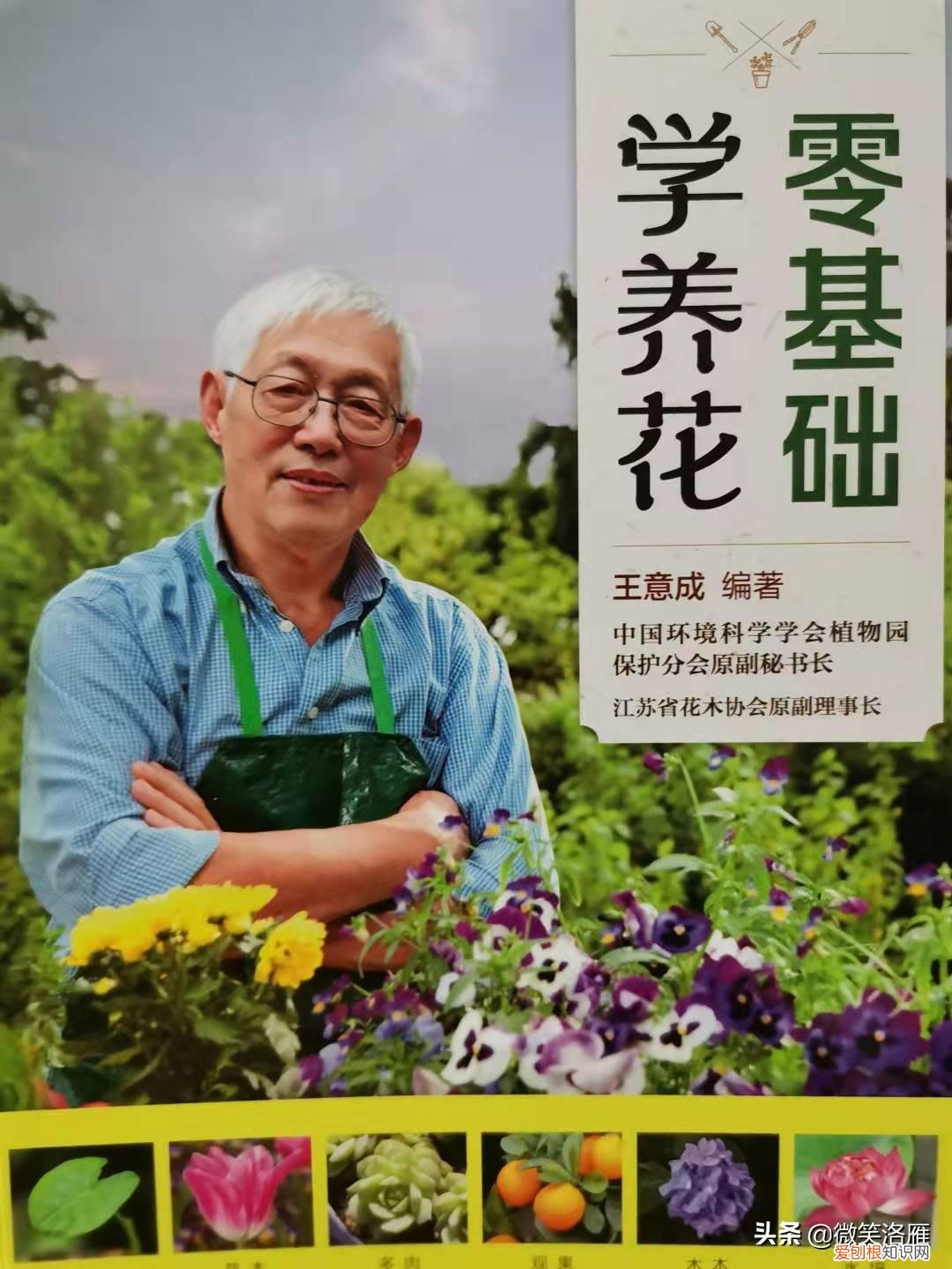 园林花卉栽培技术书籍,推荐家庭园艺书《零基础学养花》养花技巧+品种图鉴,养花速成