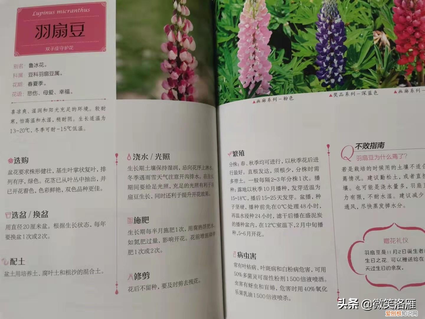 园林花卉栽培技术书籍,推荐家庭园艺书《零基础学养花》养花技巧+品种图鉴,养花速成