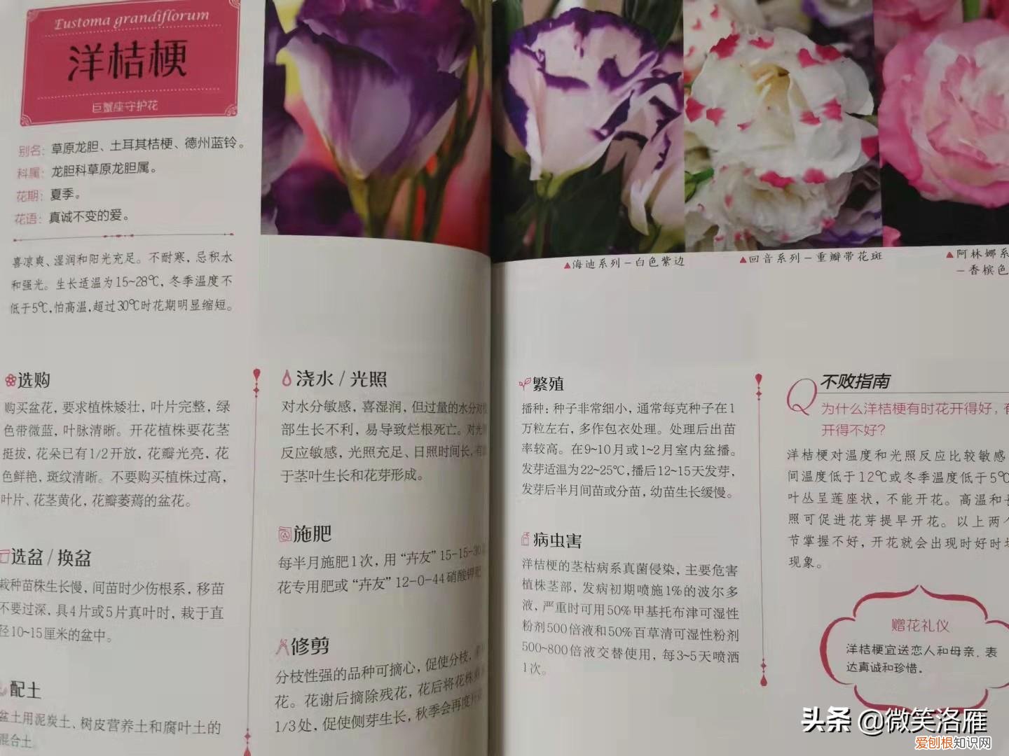 园林花卉栽培技术书籍,推荐家庭园艺书《零基础学养花》养花技巧+品种图鉴,养花速成