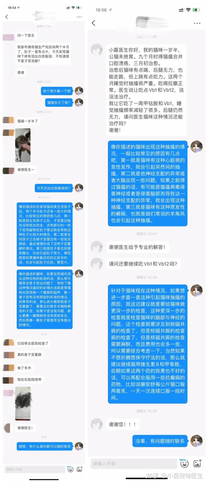 有没有免费咨询宠物医生的软件，有什么靠谱的咨询宠物医生平台吗？
