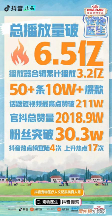 当一名宠物医生，《宠物医生》：所有生命都应得到同等尊重