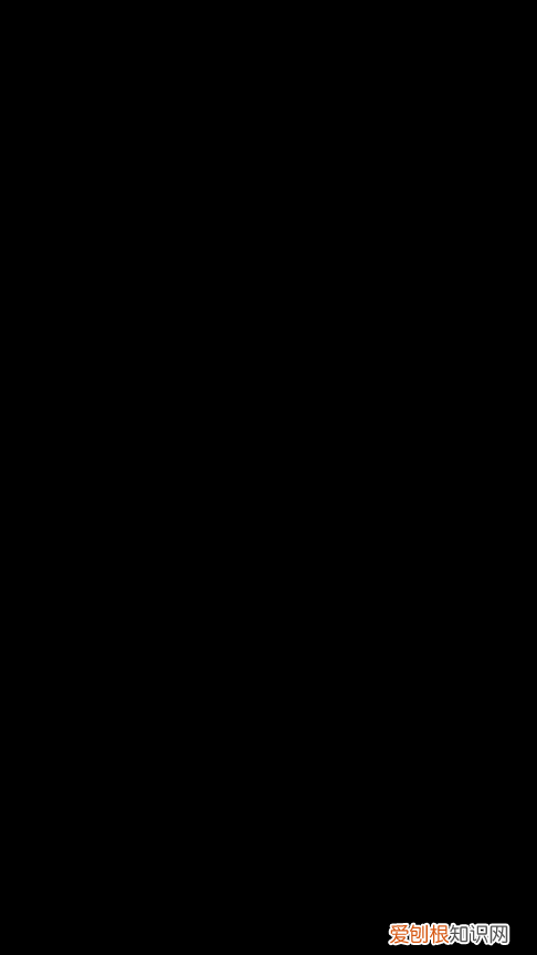 当一名宠物医生，《宠物医生》：所有生命都应得到同等尊重