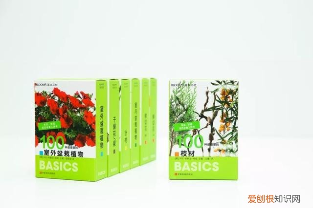 花艺基本入门，花艺师指南|初学者买什么书最实用