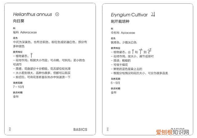 花艺基本入门，花艺师指南|初学者买什么书最实用