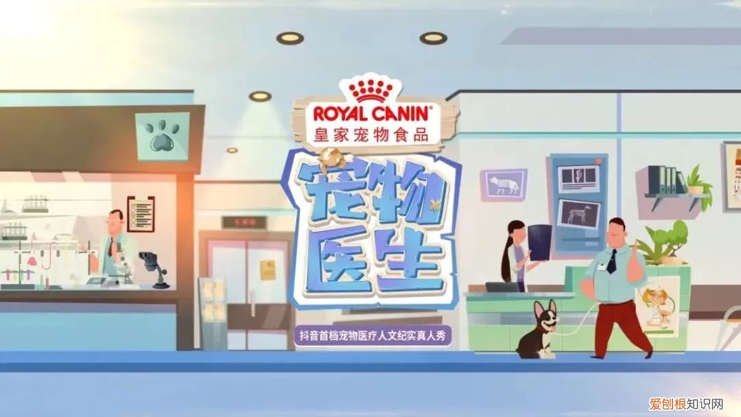 宠物医生职业道德，《宠物医生》：让所有生命都得到完善的医疗服务和同等尊重
