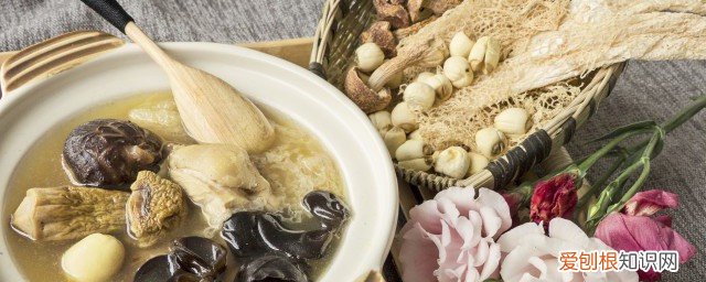 山鸡汤怎么炖最有营养