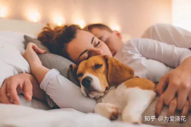 养宠物的意义大概就是我给予它，养宠物的意义究竟是什么呢？