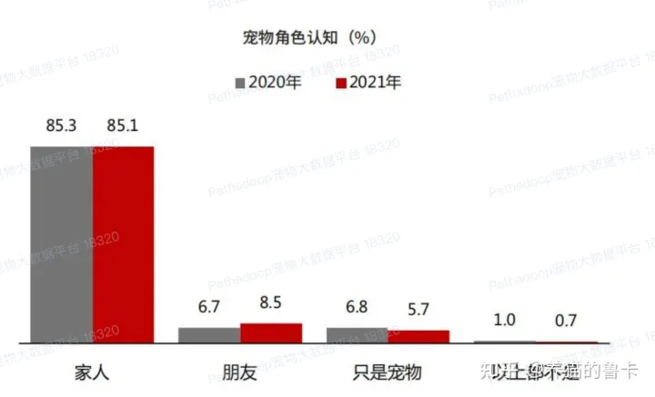 为什么越来越多的人开始养宠物，为什么现在越来越多的人选择养宠物？宠物究竟给我们带来了什么？