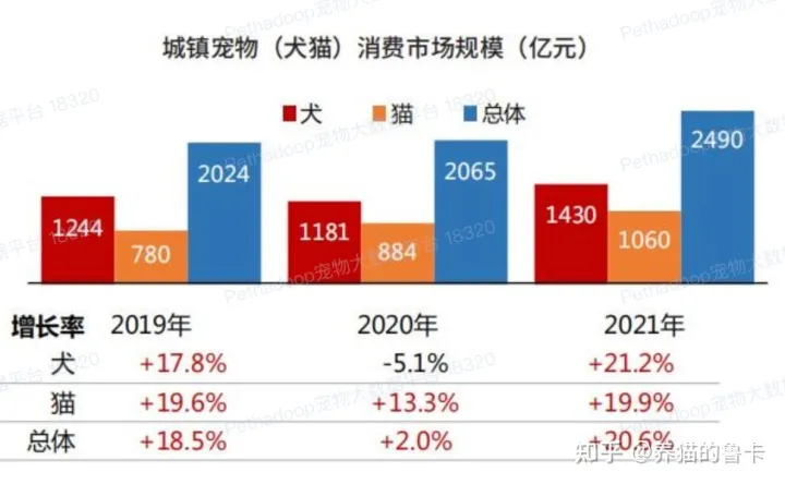 为什么越来越多的人开始养宠物，为什么现在越来越多的人选择养宠物？宠物究竟给我们带来了什么？