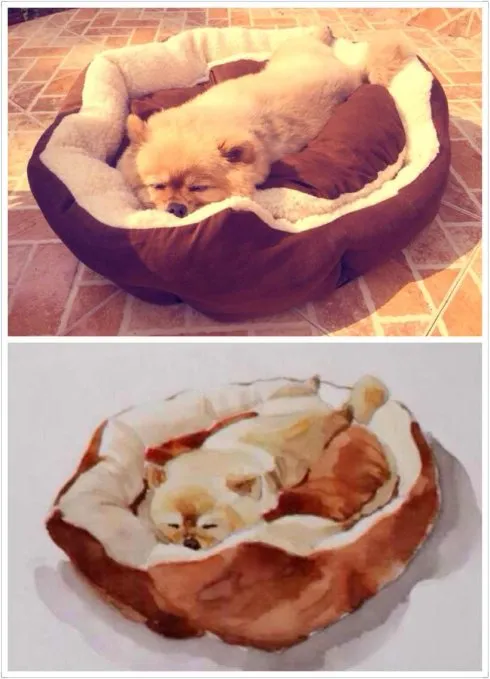 养狗狗的亲身经历是什么，养狗是一种怎样的体验？