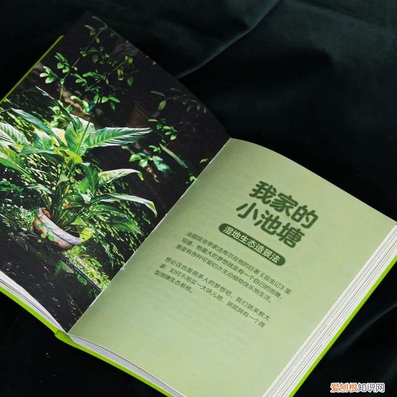有三千万粉丝的男顶流，全网坐拥3500万粉丝的科普男神又出新书了，快去种草