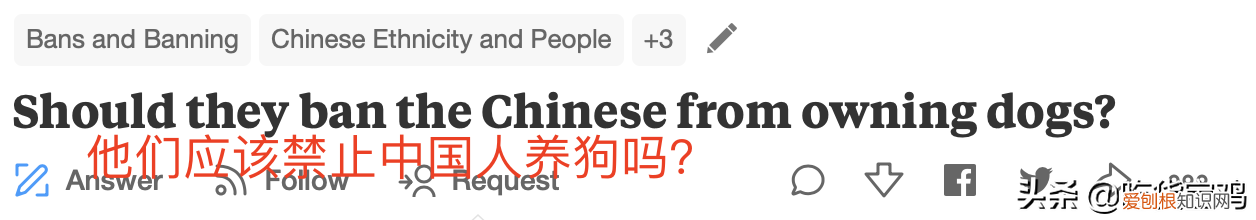 养狗注意事项知乎，美版知乎提问：他们应该禁止中国人养狗吗？