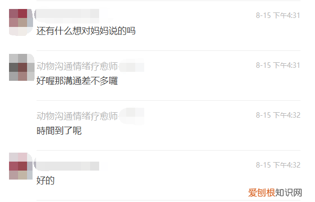 消费观：宠物沟通师靠谱吗？花200块钱跟我的狗唠了一次
