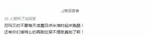 假如动物会说话，如果我们能和宠物交谈，你会想告诉它什么？