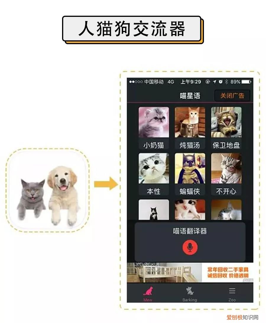人宠交流器有用吗，6款人宠交流app深度评测！没有最坑，只有更坑