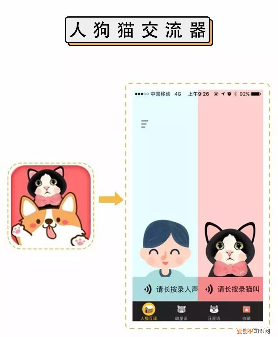人宠交流器有用吗，6款人宠交流app深度评测！没有最坑，只有更坑