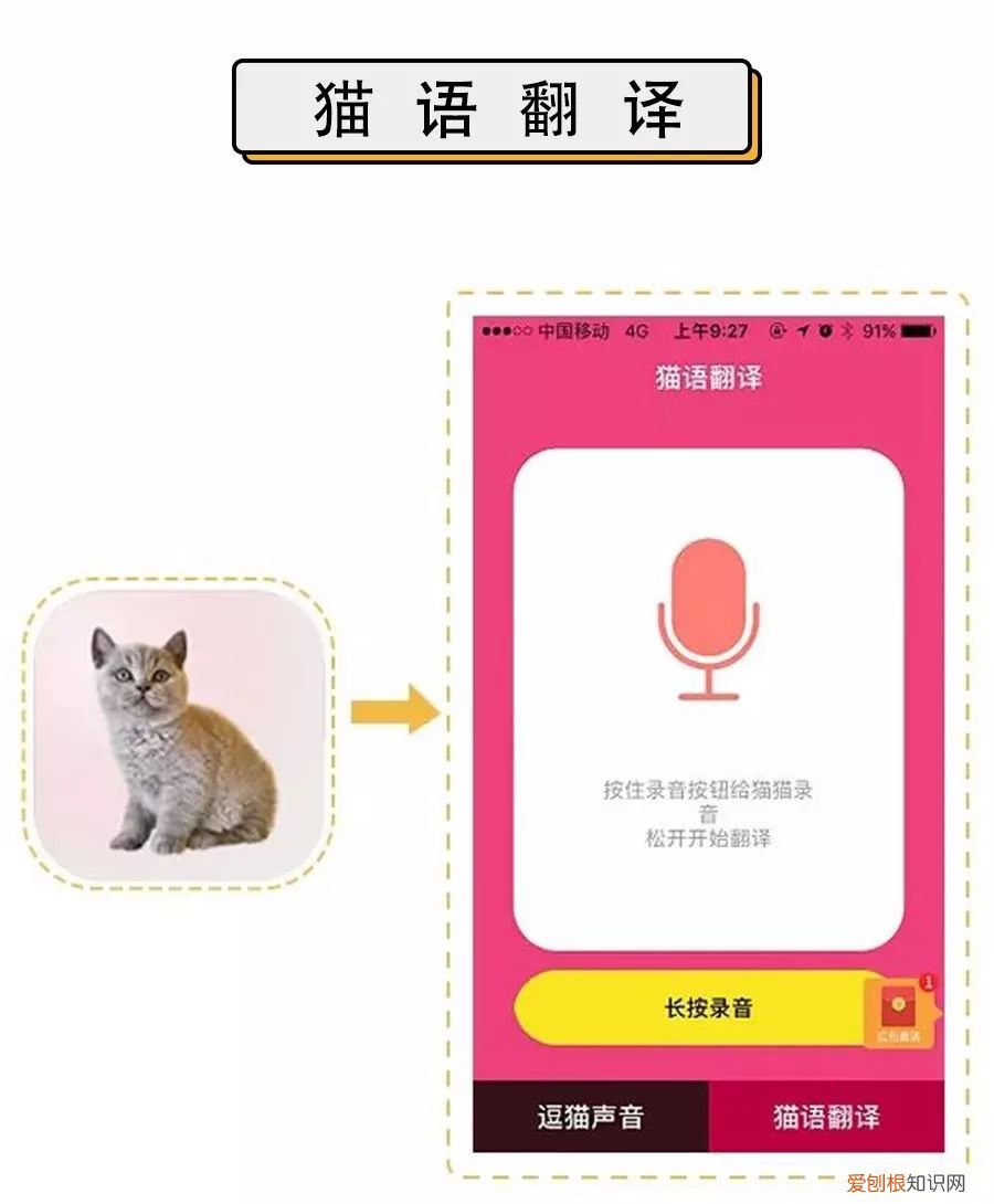 人宠交流器有用吗，6款人宠交流app深度评测！没有最坑，只有更坑