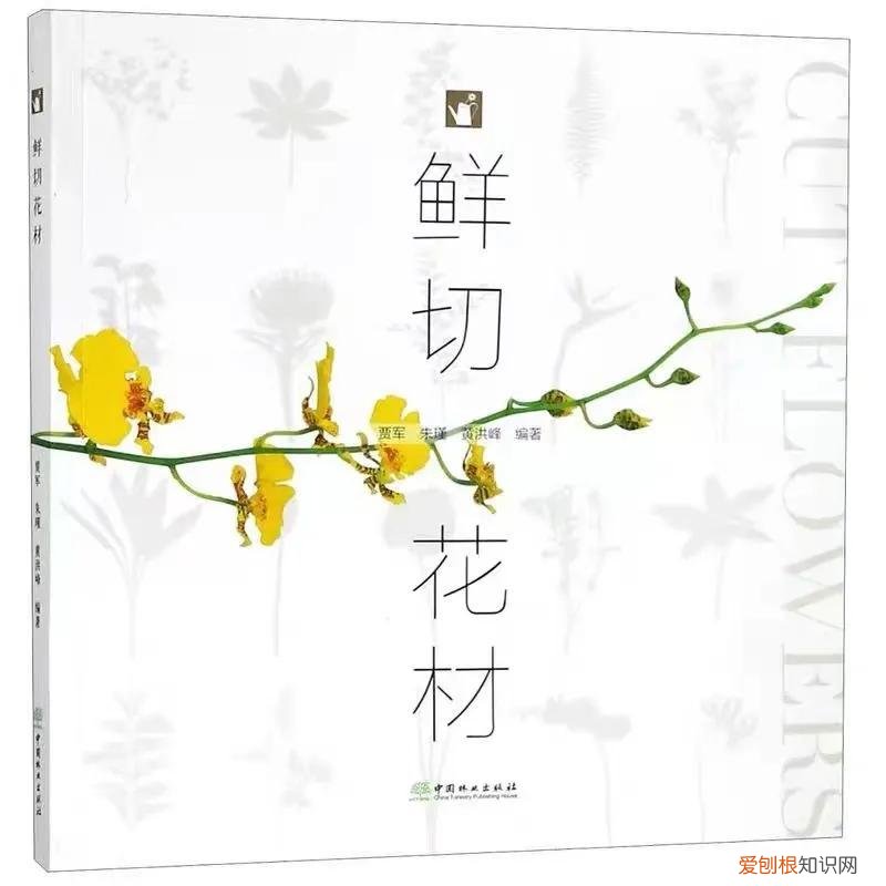 花艺师相关书籍有哪些，花艺师必备书籍