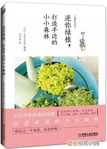 园林树木栽培学电子版，你枕边的绿植园艺工具书