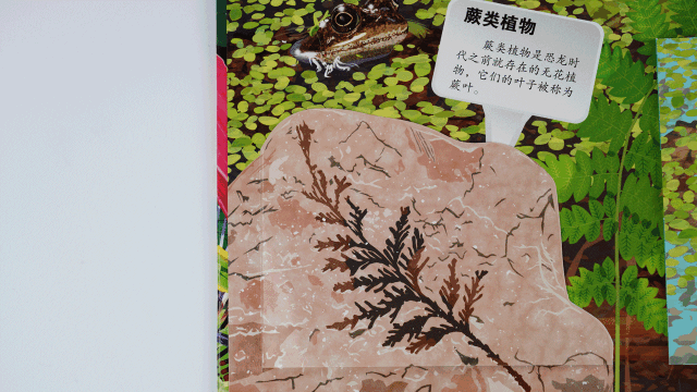 什么花不能一起种在土里，可以和孩子一起种花的立体书，感受生命历程的最佳选择