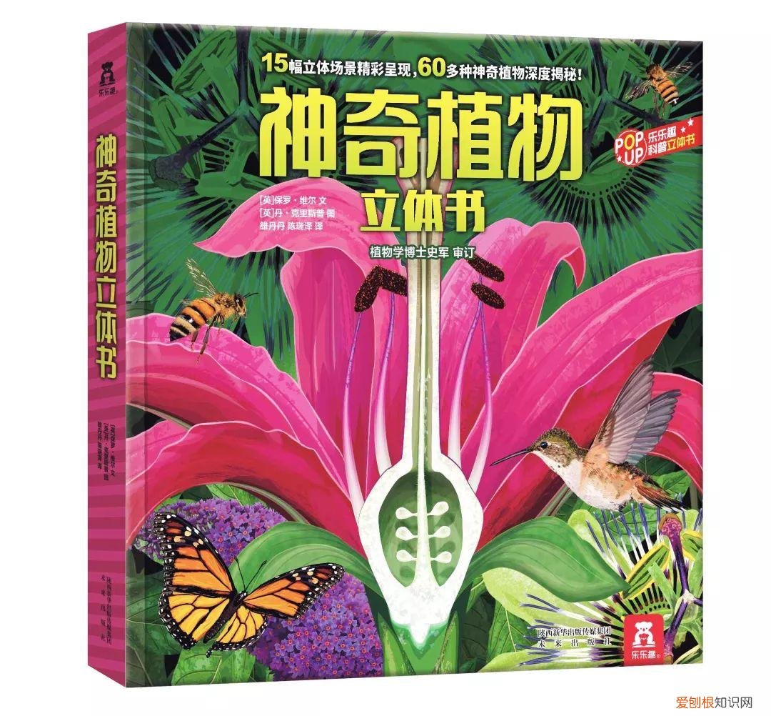 什么花不能一起种在土里，可以和孩子一起种花的立体书，感受生命历程的最佳选择