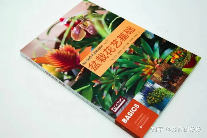 书单推荐 花艺相关书籍,零基础必读的几本花艺书籍